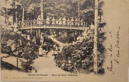 LA  CHAUX-DE-FONDS   -   Bois du Petit Château  -  1915