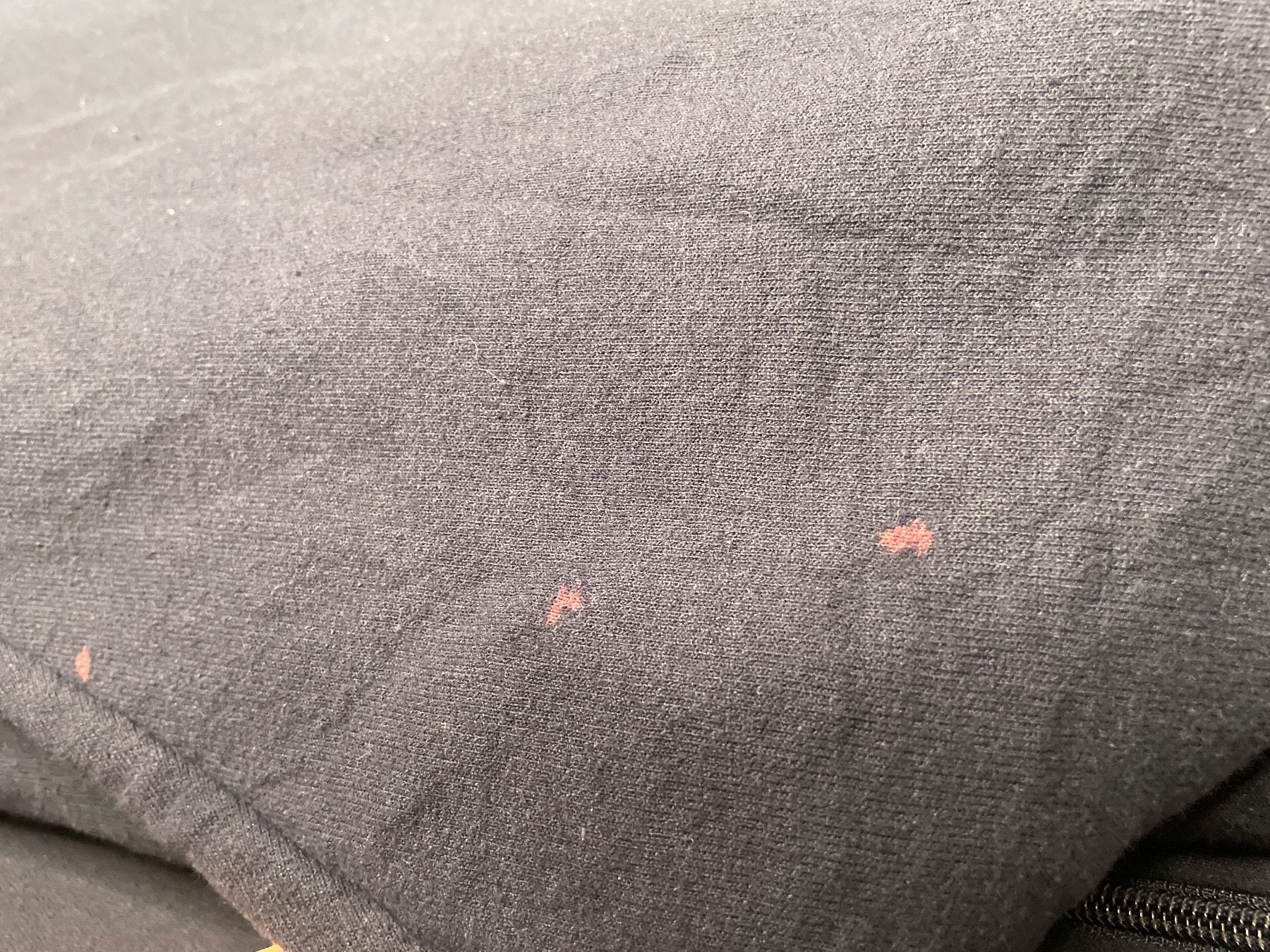 Champion Maglioni & Felpe: Champion Kapuzenpullover Dunkel Blau 2XL – Usato da Capolago venduto da LA.BOTTEGA 3