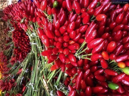 Piante & sementi: 50 Samen PICCANTE E MAZZETTI Chilli – Nuovo (secondo la descrizione) da Ehrendingen venduto da VerveinaSamen 3