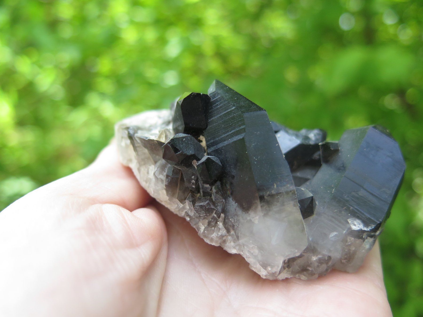 Mineralien & Heilsteine: Rauchquarz "Morion" von USA – Gebraucht aus Schaffhausen von Yamakana51L8736OQ8 5