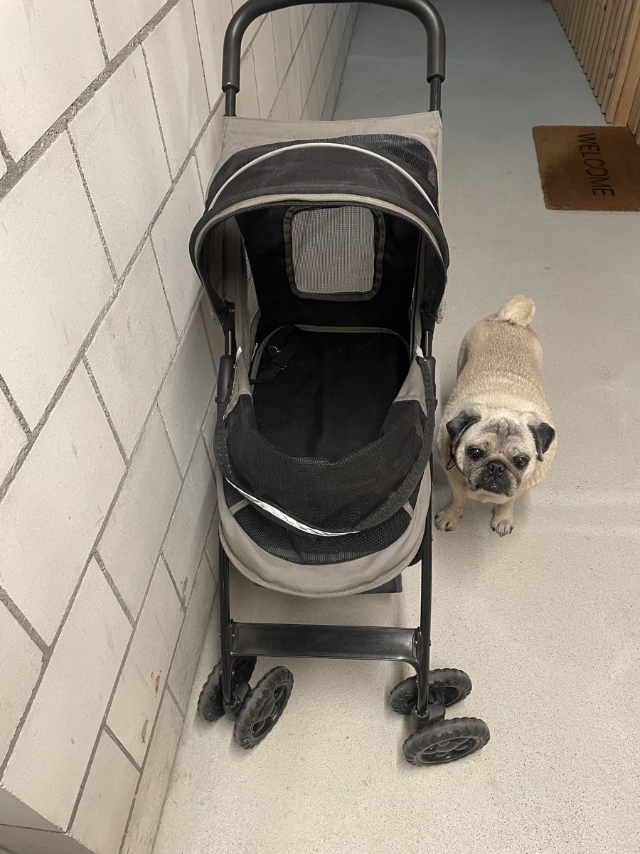 Kinderwagen Zubehör: Hunde Buggy/Wagen Marke Ferplast – Gebraucht aus Bern von pablo2013