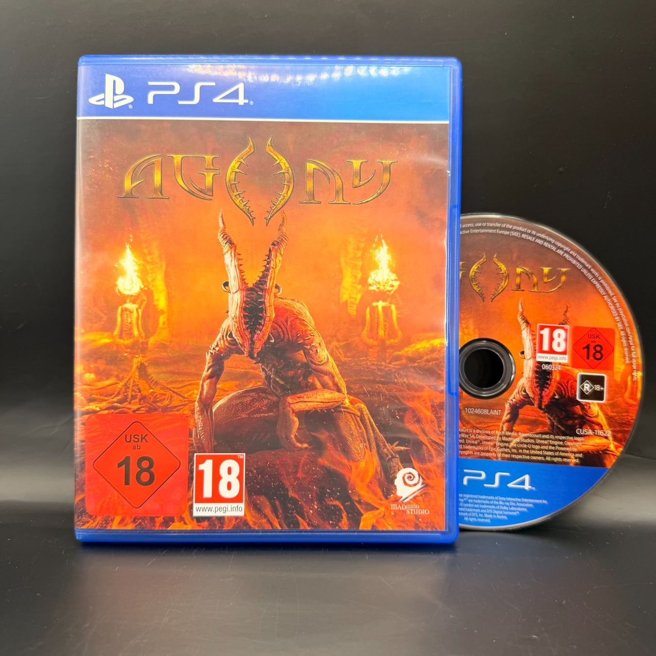 Sony Giochi: Agony Playstation 4 – Usato da Düdingen venduto da Nerdworld