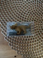 Dinosaurier Gummi
