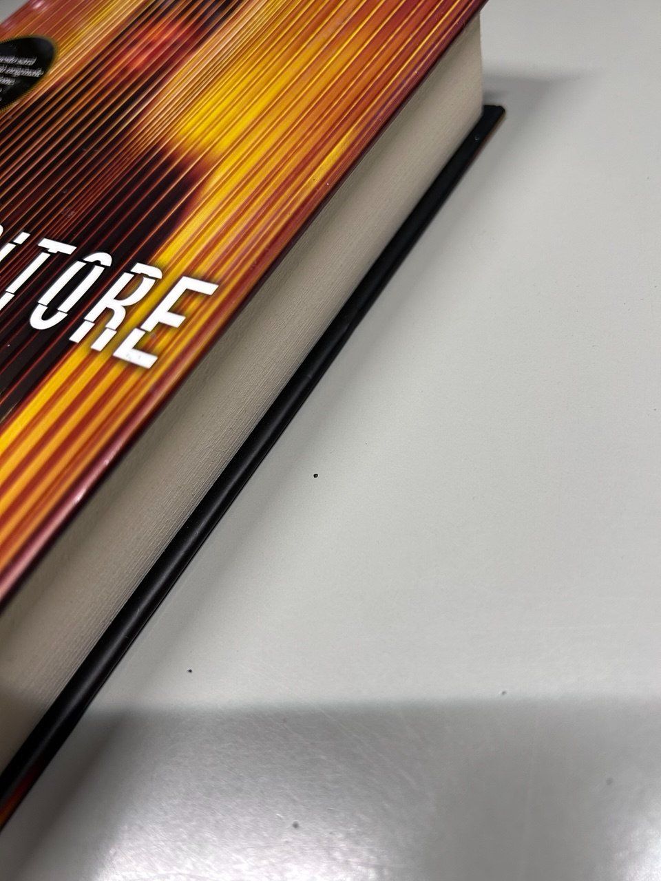 Libri: "L'Inquisitore" Di Mark Allen Smith – Usato da Giubiasco venduto da LorisVale 5