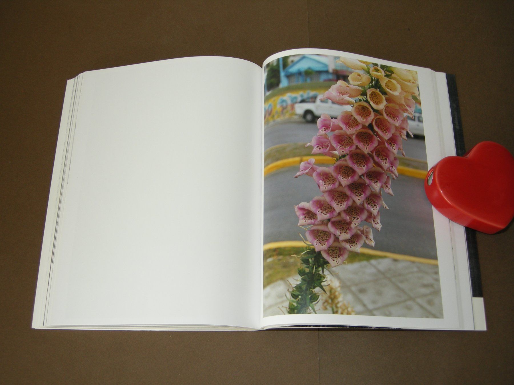 Libri: Wolfgang Tillmans / Neue Welt 2012 – Usato da Aarau venduto da Pearlz 8