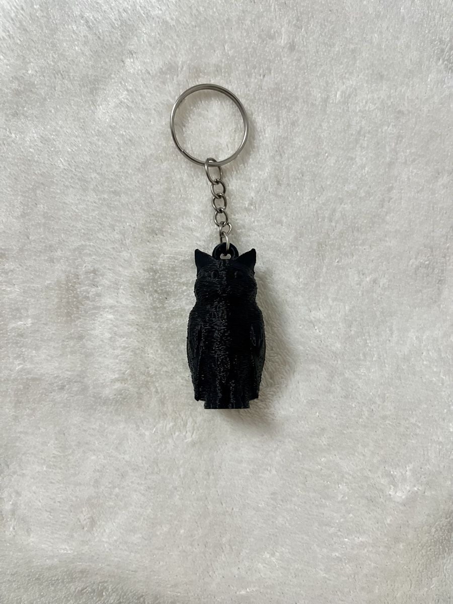 Cool Black Meowl Keychain - Gift Idea 🦉🔑 (Neu (gemäss Beschreibung)) in ...