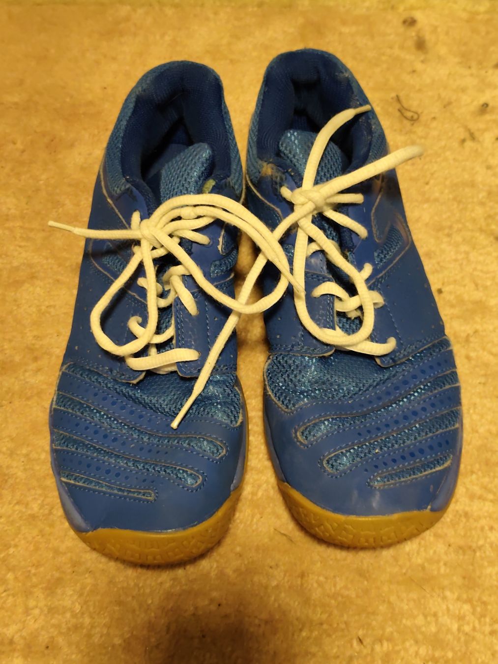 Adidas Schuhe für Jungen: Hallenturnschuhe 38 2/3 – Gebraucht aus Unterentfelden von eloim