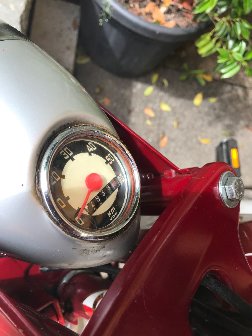 Puch Ciclomotori: Mofa Puch Velux – Usato da Basel venduto da Buntspecht66 1