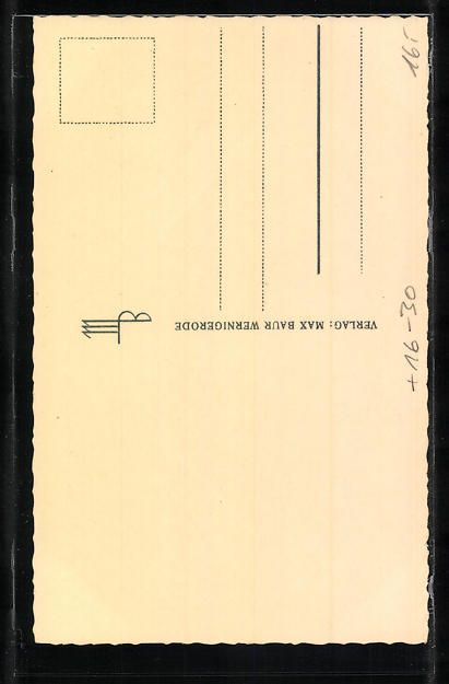 Cartes postales: Foto-AK Max Baur: Wernigerode, Rathaus u – D'occasion à Berlin par bartko-reher 1