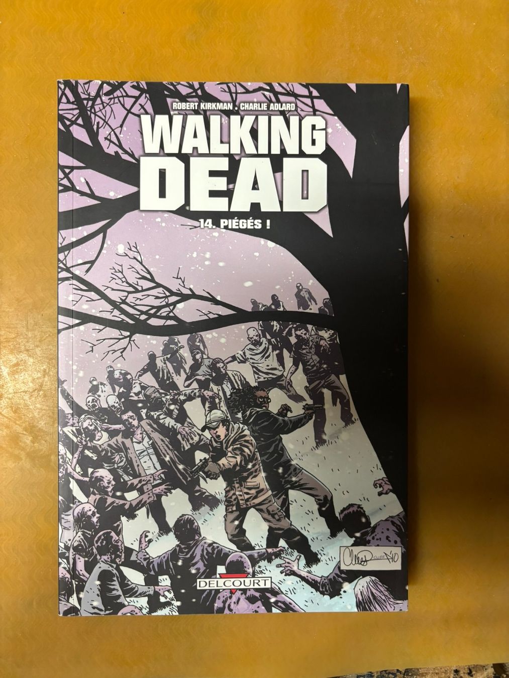 BD: Walking Dead BD no14 – D'occasion à fey par Caductilometre