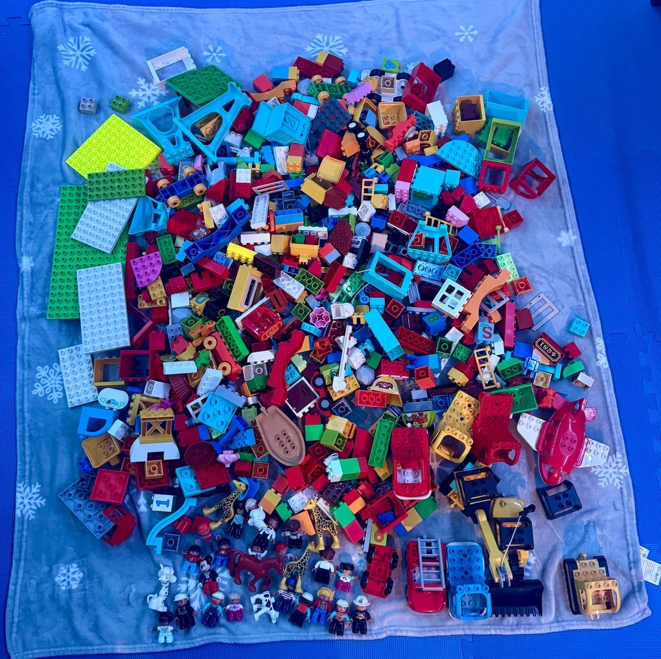 Lego Giocattoli: Lego Duplo grosses Set 9.5 kg – Usato da Basel venduto da jp_2020