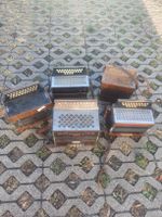 lot de 5 accordéons diatonique 