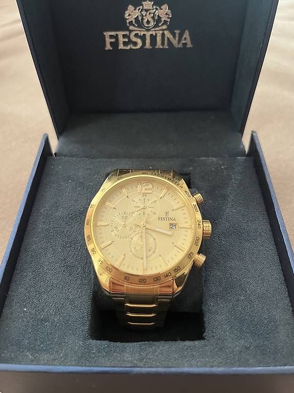 Festina Orologi: Festina Herren Uhr – Usato da Buochs venduto da end_wns2 1
