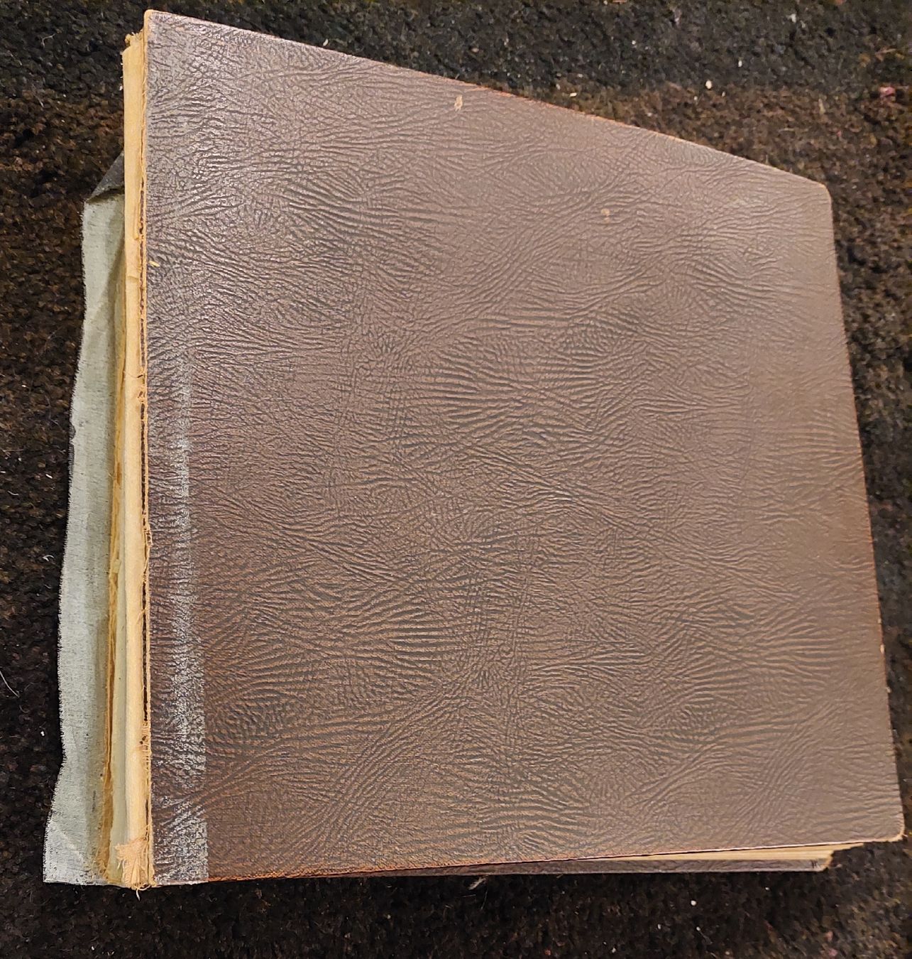 Dischi in vinile: 12x 25cm Schellackplatten mit yiddischer Misik/Interpreten – Usato da Zürich venduto da Cortin 1