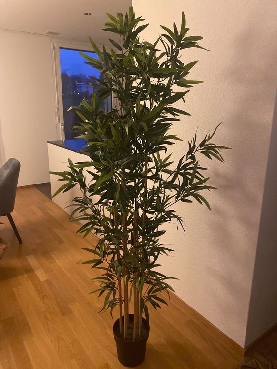Bambus Pflanze (künstlich) Kaufen auf Ricardo