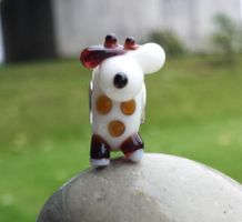 Lampwork Hund-Glasperle Glass Bead