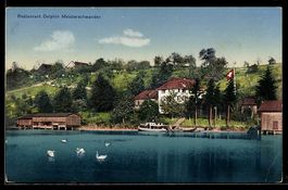 AK Meisterschwanden am Hallwilersee, Hotel Delphin vom Wasse