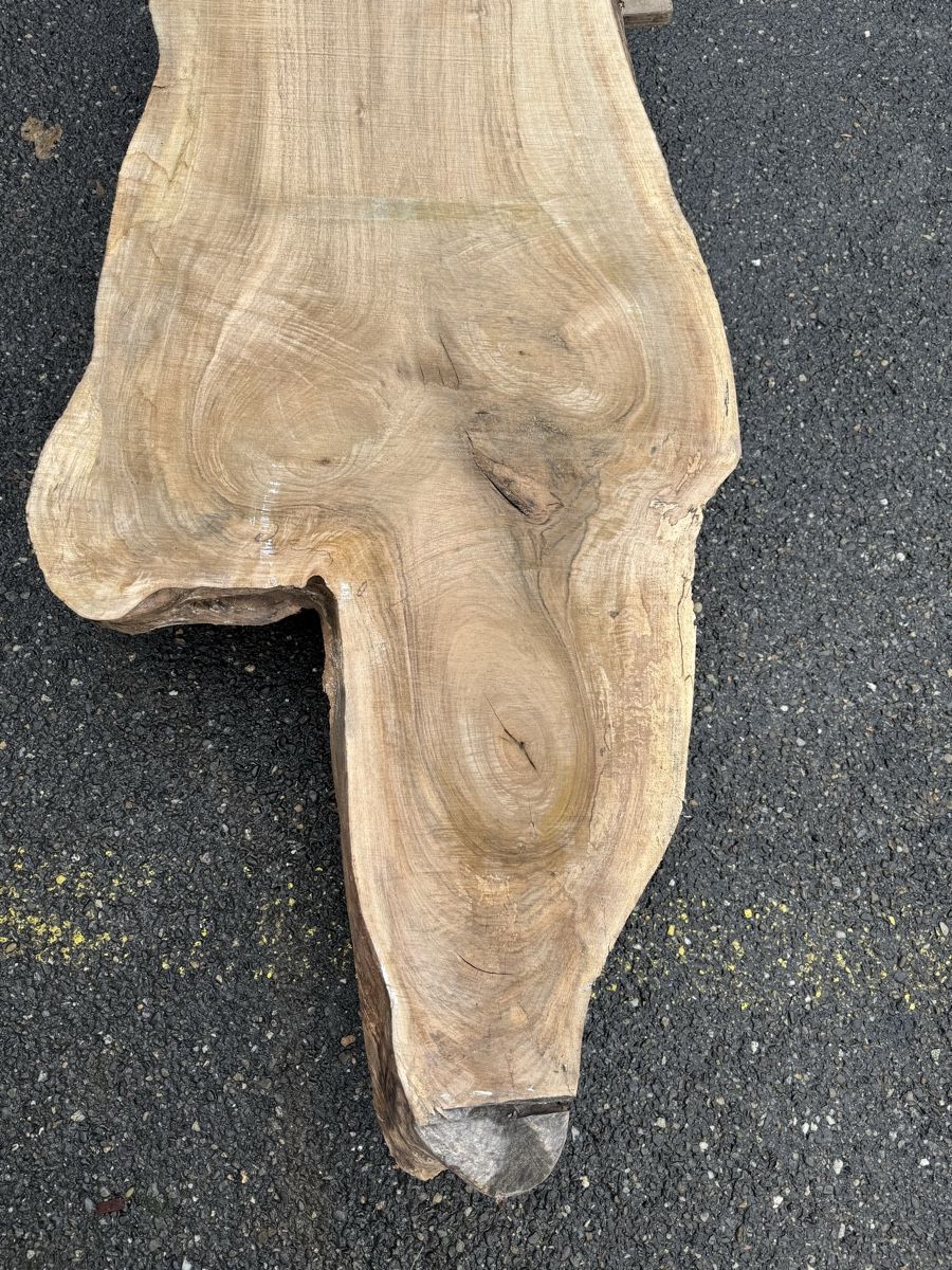 Articoli in legno: Nussbaum Klotzbrett 280  cm lang! – Usato da Gränichen venduto da onkel_xxl 6