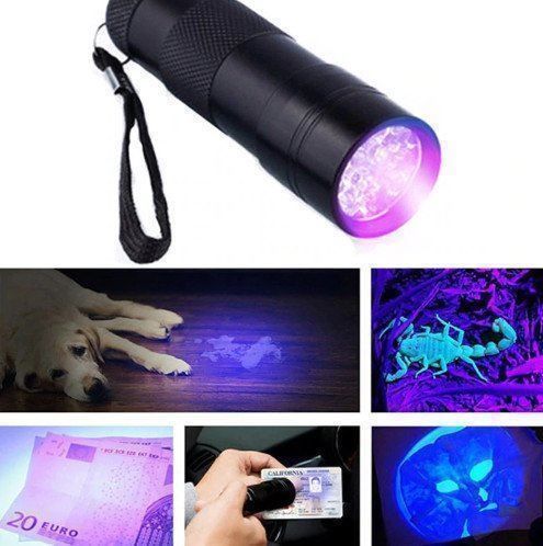 Lampade: Falschgelddetektor UV-Lampe, forensisch – Nuovo e nell'imballaggio originale da Penthalaz venduto da Adrien011