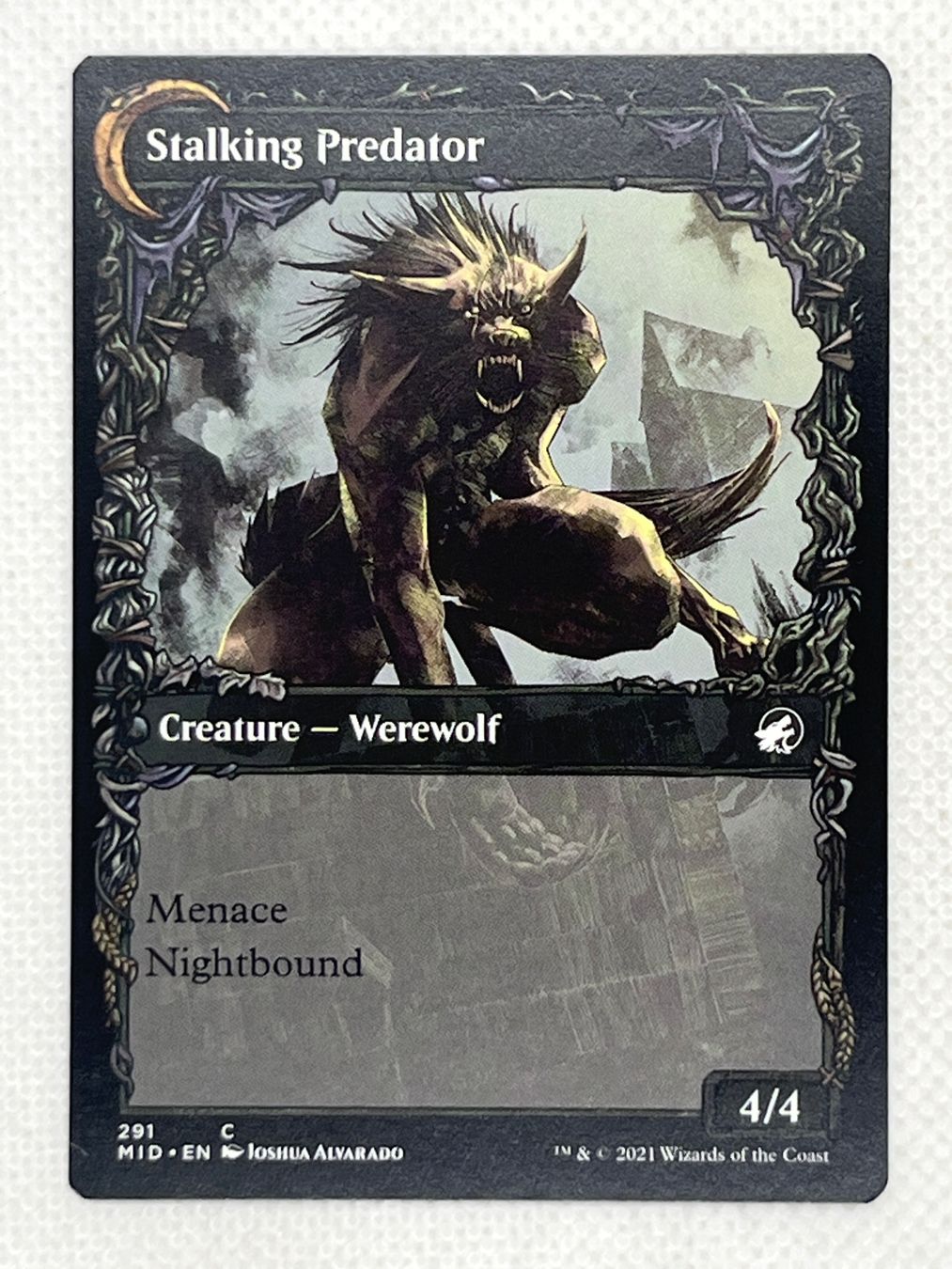 Magic The Gathering Carte collezionabili: Shady Traveler + Stalking Predator – Usato da Hinterkappelen venduto da Kim1992 1