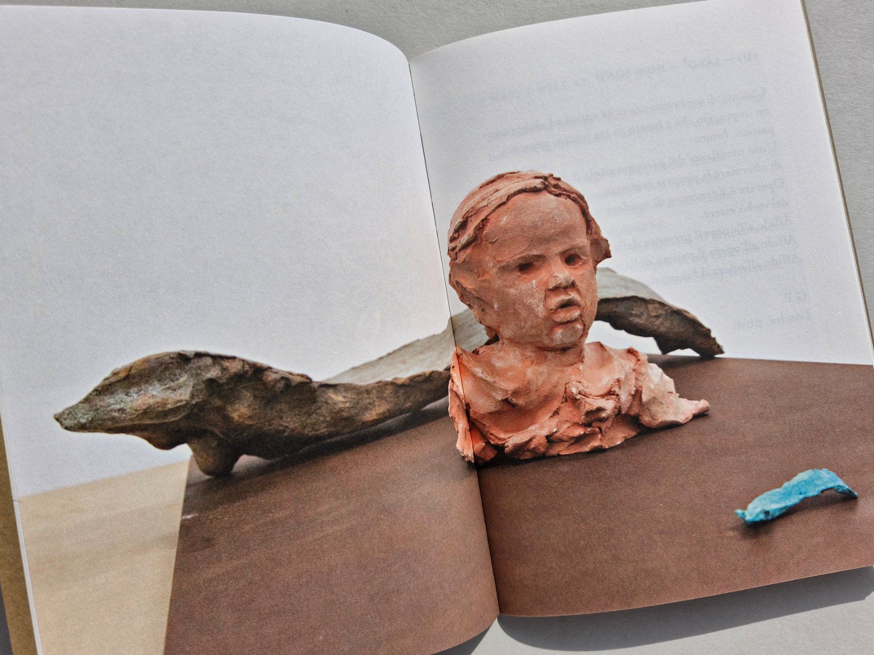 Libri: Giuseppe Penone: Germinazione, Arte Povera – Usato da Zürich venduto da Secretariat11