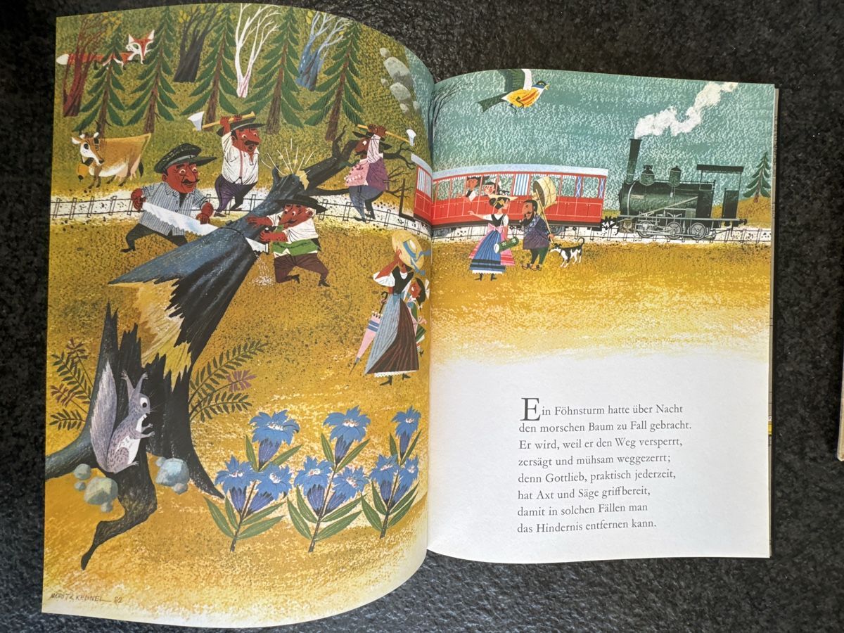 Libri: DIE BERGBAHN Moritz Kennel Rigibahn illustr. Jugendbuch – Usato da Eschenz venduto da Belladog 6