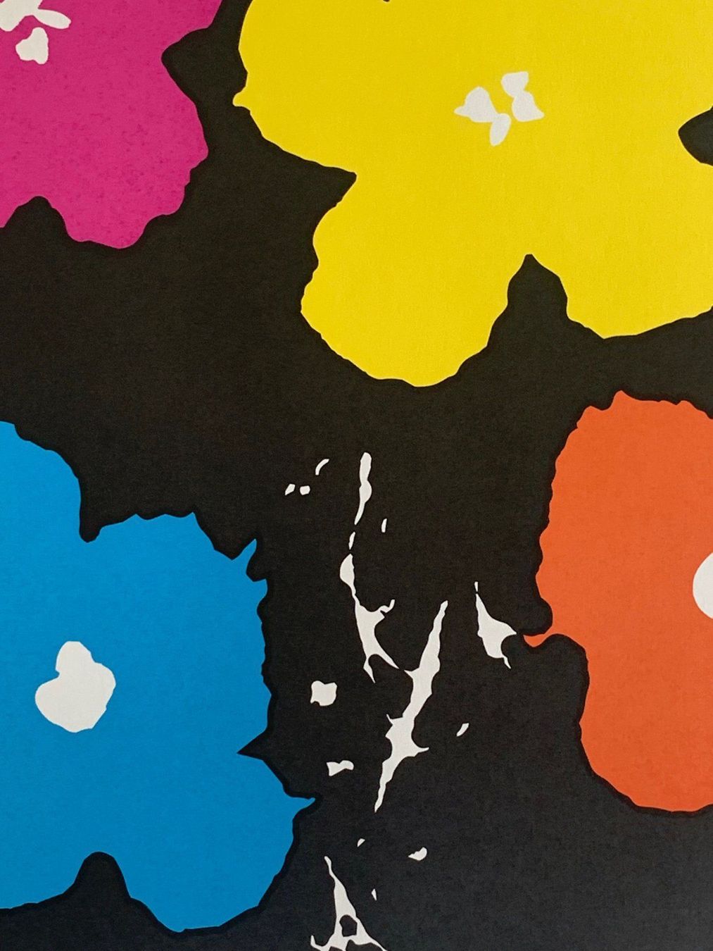 Foto & Immagini: Andy Warhol - Flowers 22/100 - Neu eingetroffen – Nuovo e nell'imballaggio originale da Adligenswil venduto da O_D_E_O_N