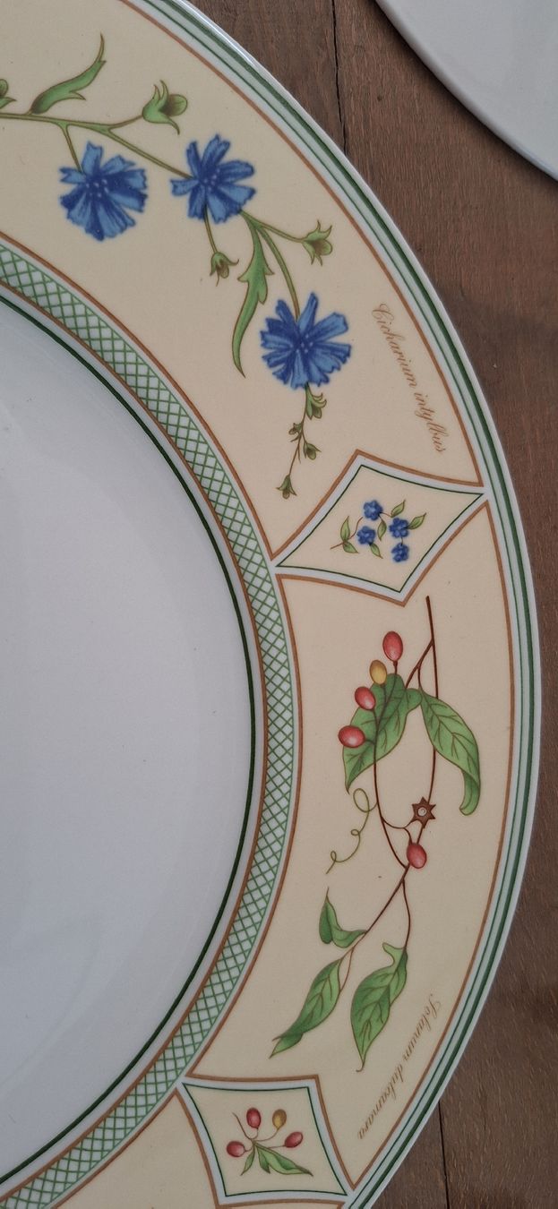 Villeroy & Boch Set di piatti: Villeroy Boch Eden – Usato da Grabs venduto da tschanny 2