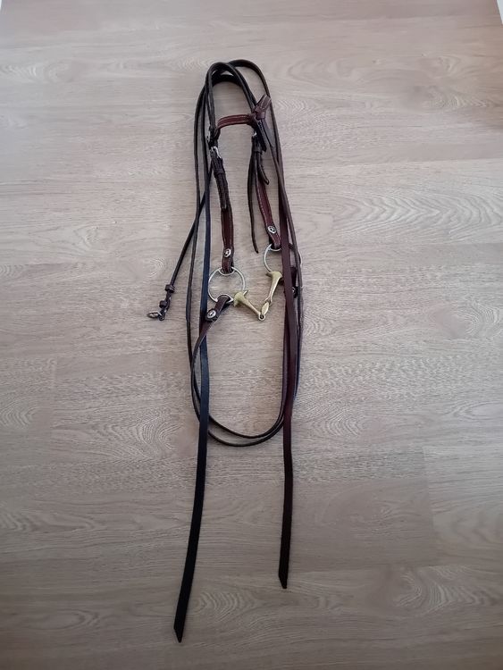 Leder Western Zaum mit 145 cm Zügel (Neu (gemäss Beschreibung)) in ...