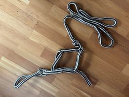 Nylonhalfter mit integriertem Strick