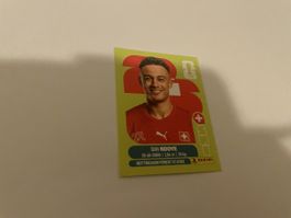 FIFA WM 2026 Dan Ndove SUI 19