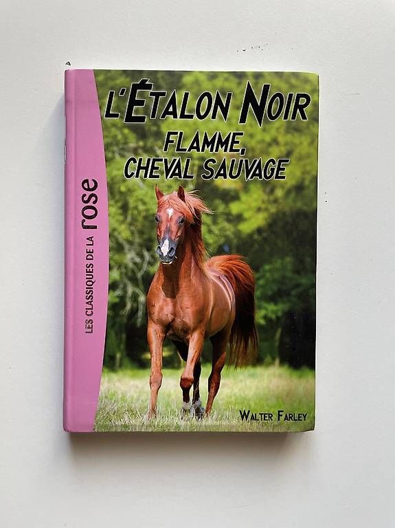 Libri: Lot de livre pour enfant  – Usato da Colombier NE venduto da _Fabio_24 1