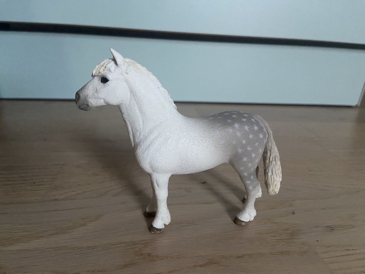 Schleich Spielzeuge: Schleich-Pony-Schimmel – Neu (gemäss Beschreibung) aus Therwil von ann_w79k