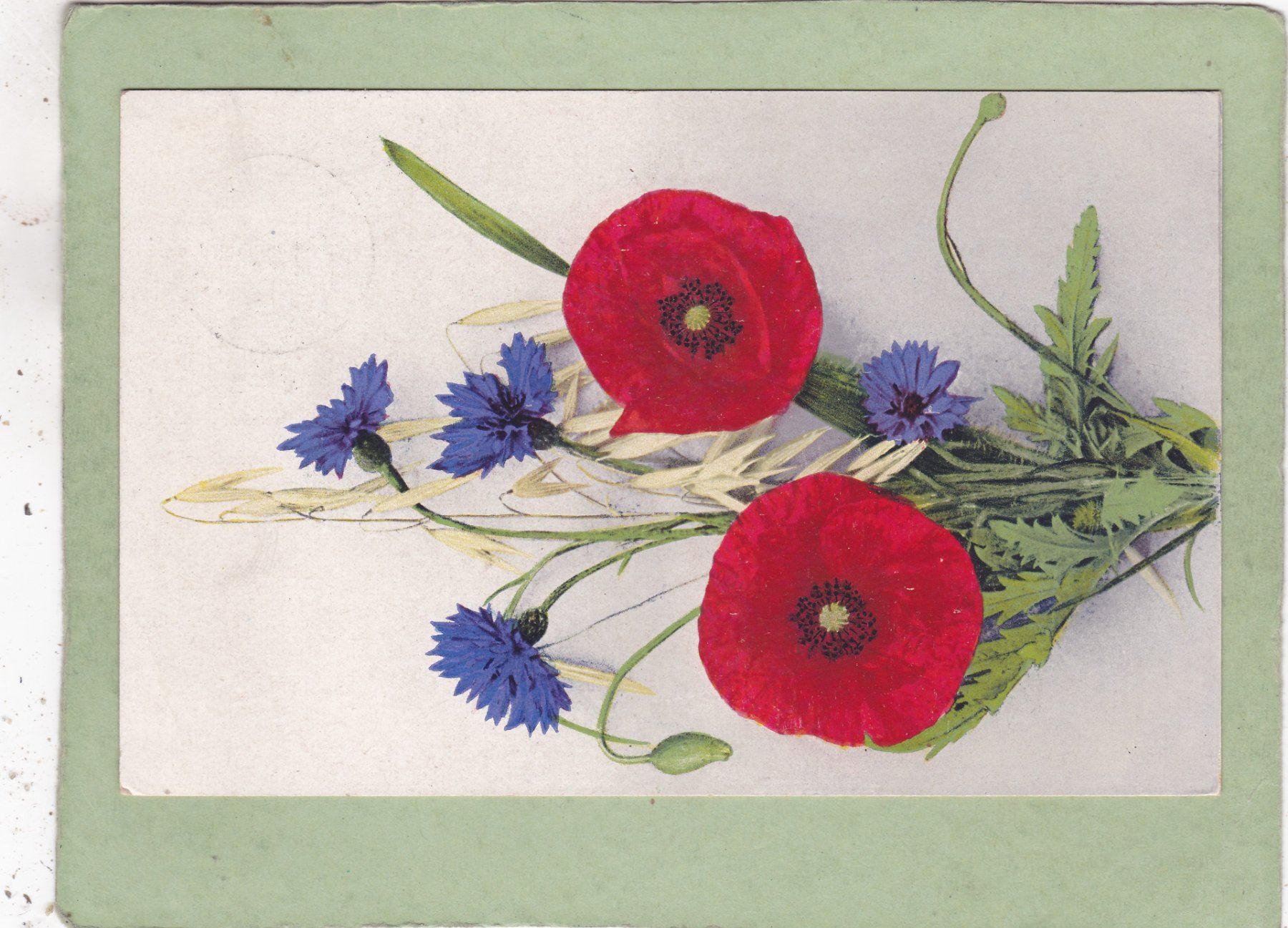 Cartoline postali: Kitsch Blumen 1922 – Usato da Herisau venduto da Lisegrat2008