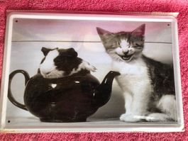 Katze Meerschweinchen teekrug deko