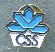 CSS  Logo