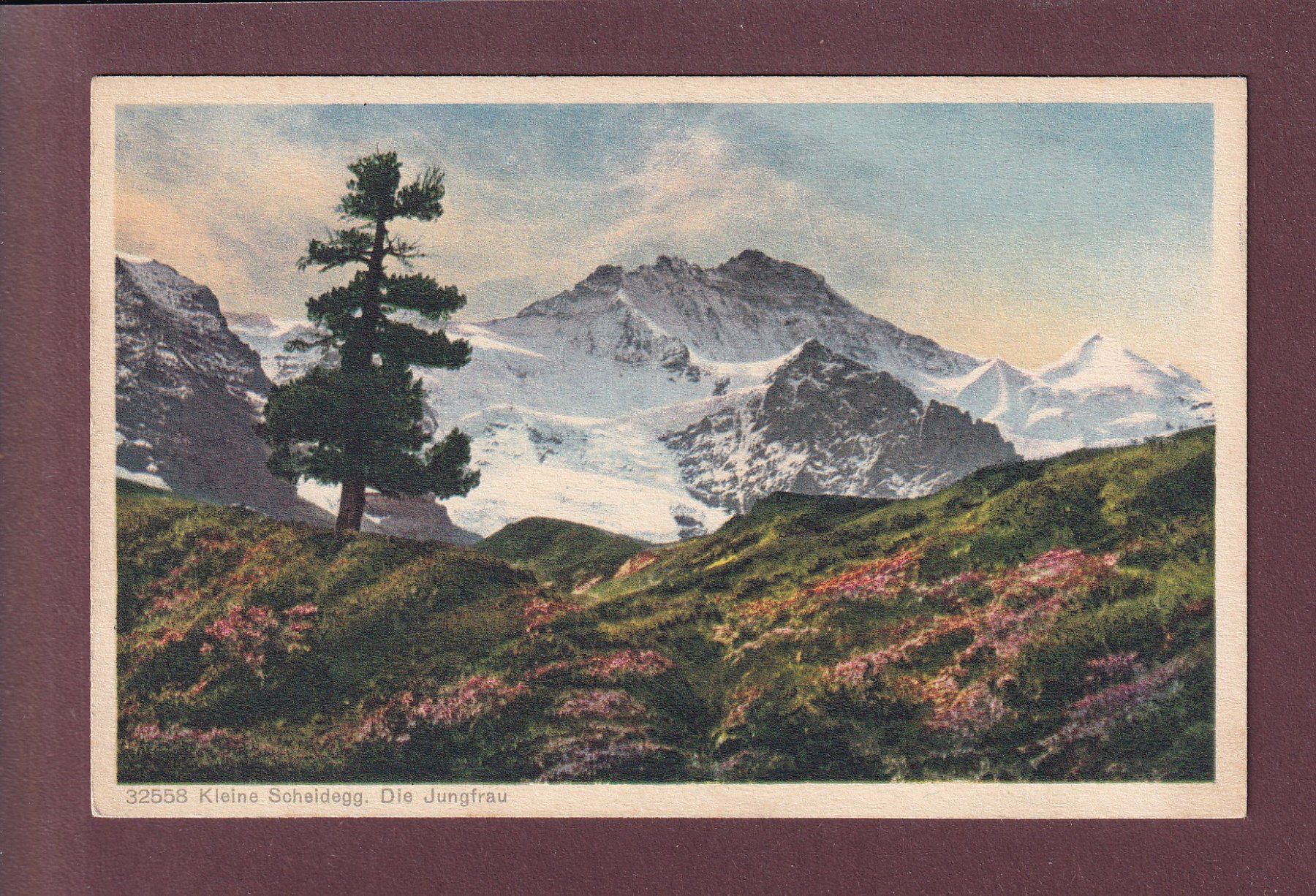 Ansichtskarten: KLEINE SCHEIDEGG - Jungfrau – Gebraucht aus Pully von nicecards