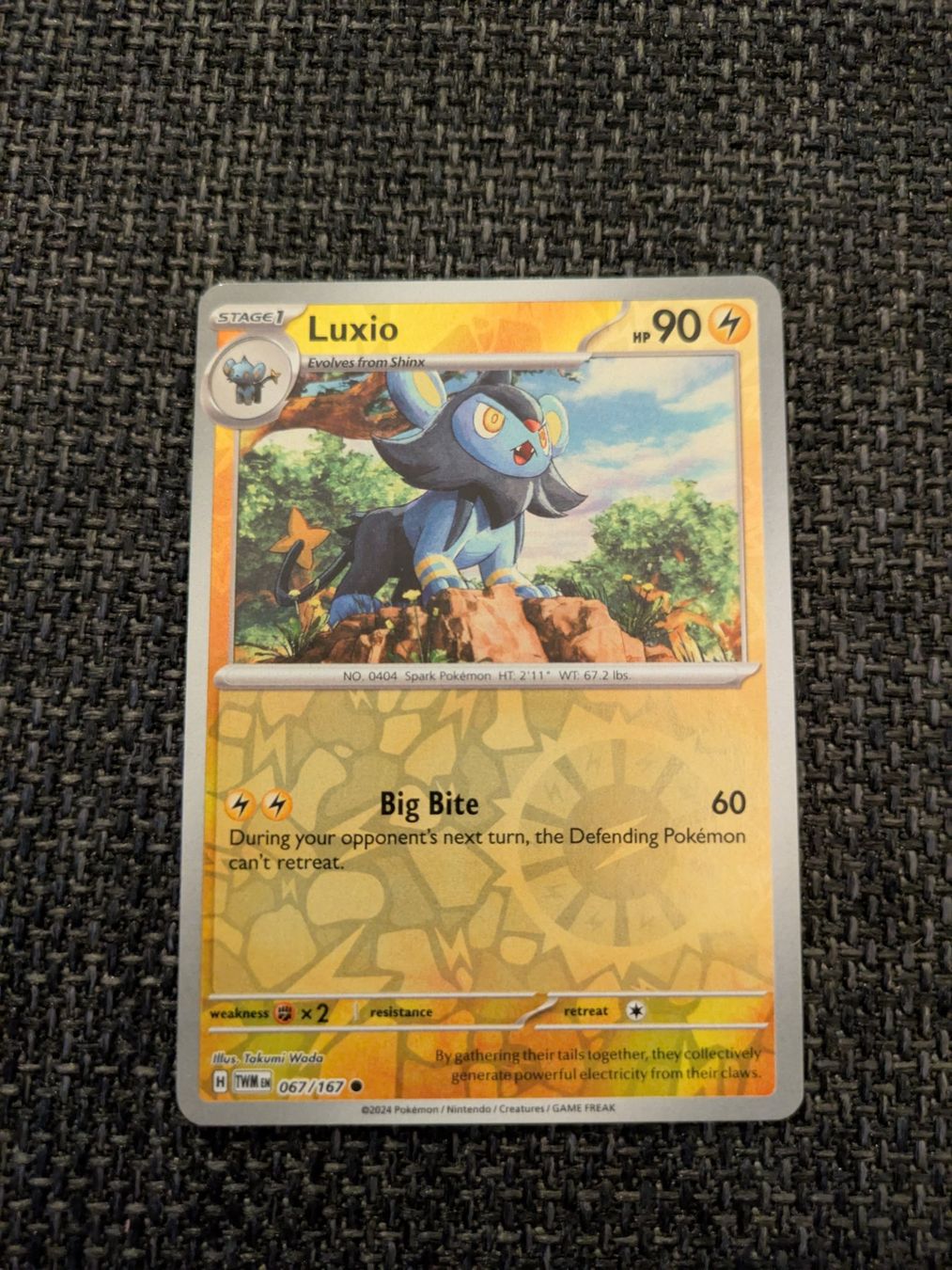 Pokémon Sammelbilder & Trading cards: LUXIO, TWILIGHT MASQUERADE, TWM67, REVERSE, 2024, ENG, NM – Gebraucht aus Losone von AlpineLayer