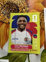 Panini Sticker FIFA World Cup 2026 United Edition 126