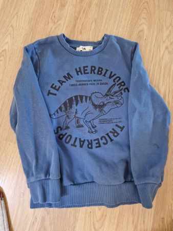 Pullover / Pulli Dinosaurier 134