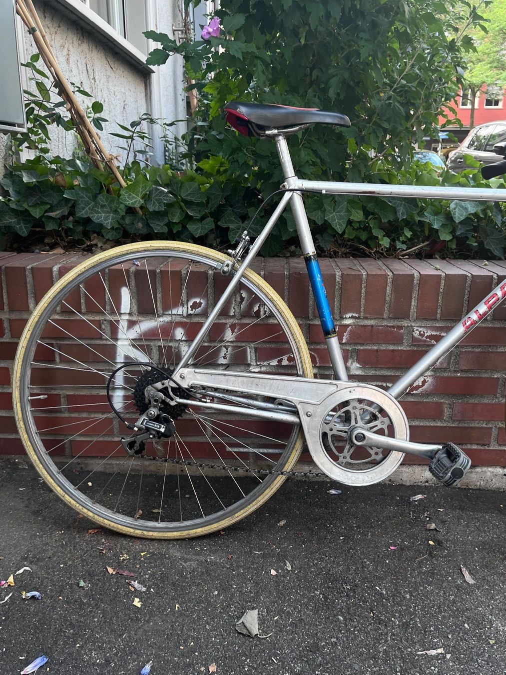 Velos: ALPA Renner Velo mit Korb – Gebraucht aus Zürich von Jona.B 7