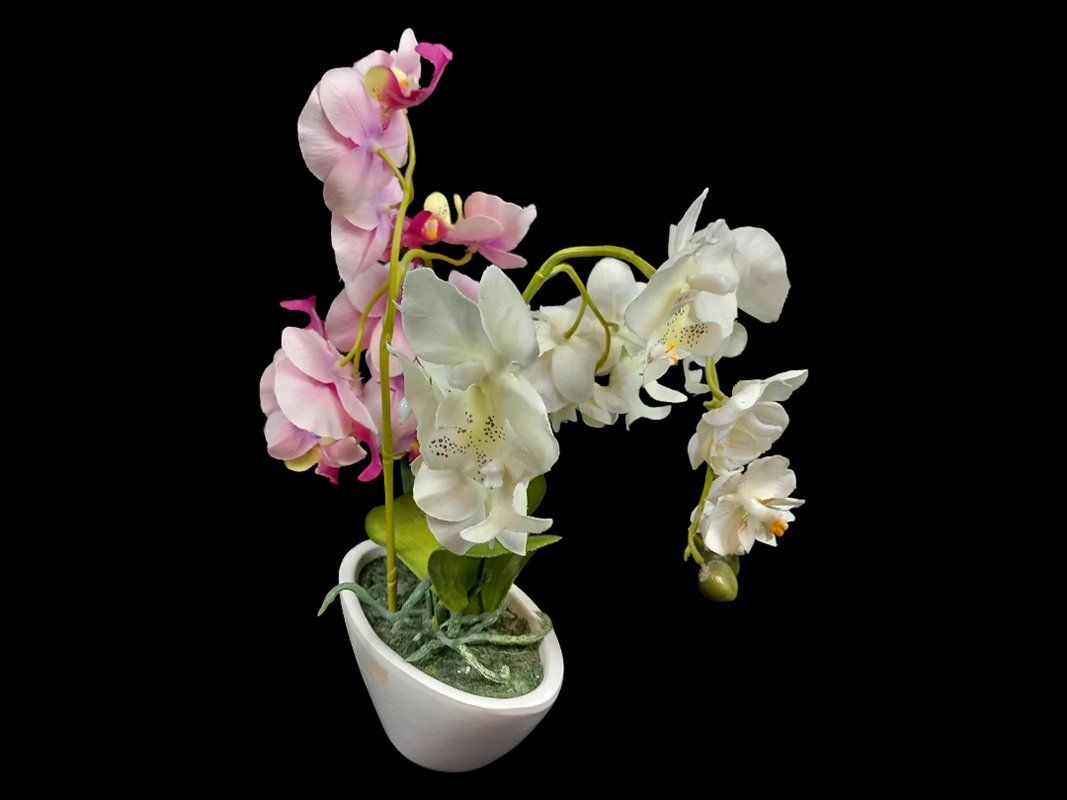 Tutte le decorazioni: Kunstpflanze Orchidee – Usato da Hünenberg venduto da Restwert_Zug 4