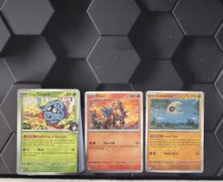 Pokemon Holo & Reverse Holo Karten | 30 stk. | Englisch