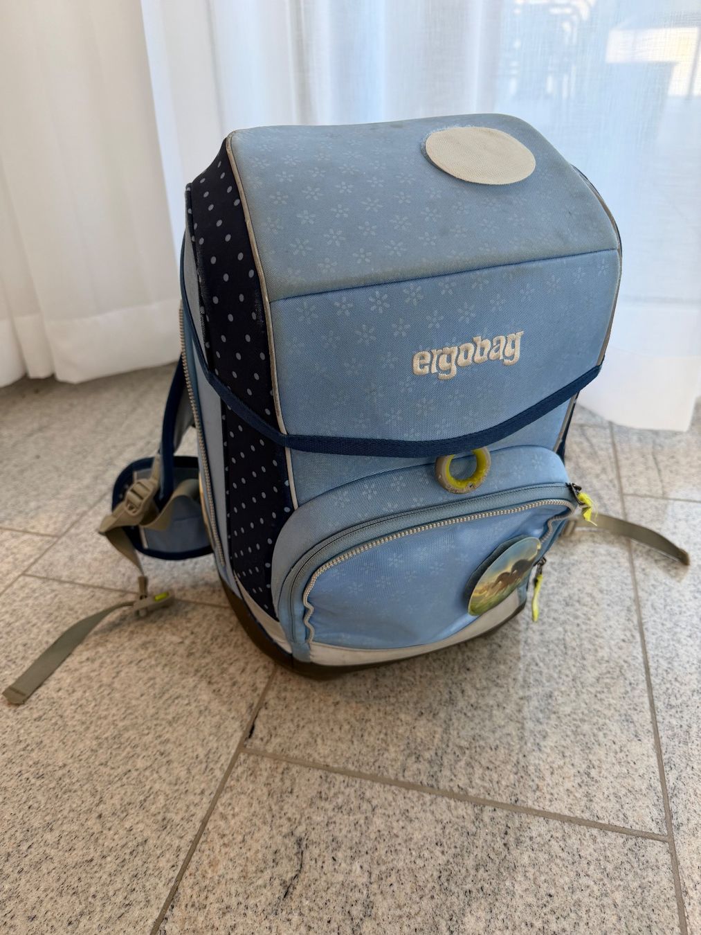 Zaini: Ergobag Schulrucksack, Schulthek – Usato da Lenzburg venduto da jmuenzing