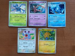 Pokemon Reverse Karten Set (Versand gratis)
