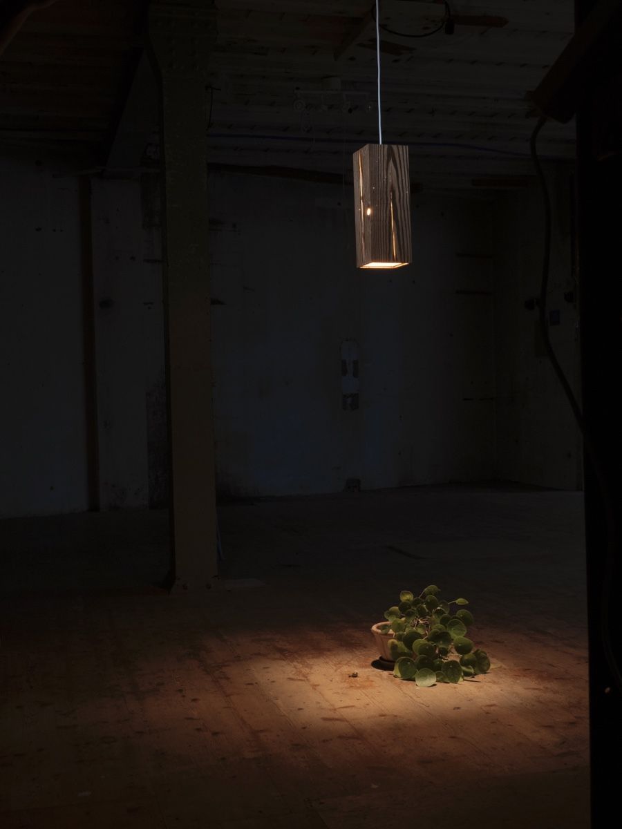 Lampade: Lampe aus Altholz – Nuovo (secondo la descrizione) da Bern venduto da KomodoWa 2