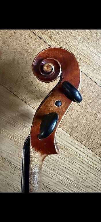 Strumenti musicali: 4/4 Geige spielfertig – Usato da Bern venduto da kabinettstueck 2