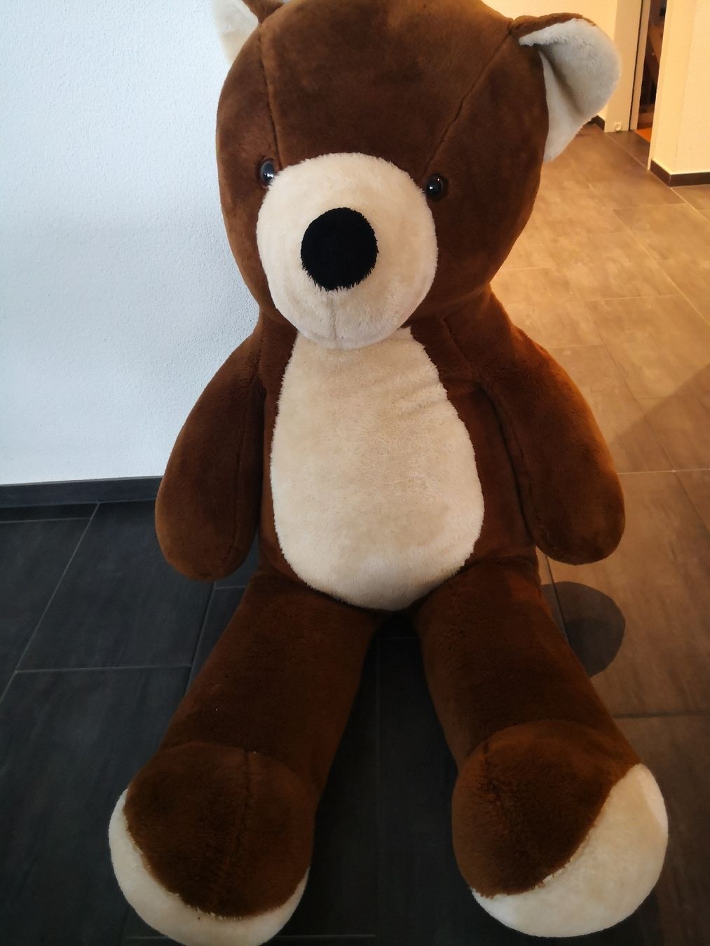 Jouets: Plüschteddy Braunbär – D'occasion à Ottenbach par Acki_la 1