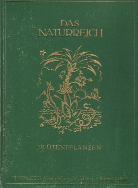 Libri: Die Blütenpflanzen 1921 – Usato da Bern venduto da Grindelwaldaus