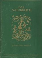 Die Blütenpflanzen 1921